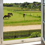 Ferienwohnung 3 - Aussicht